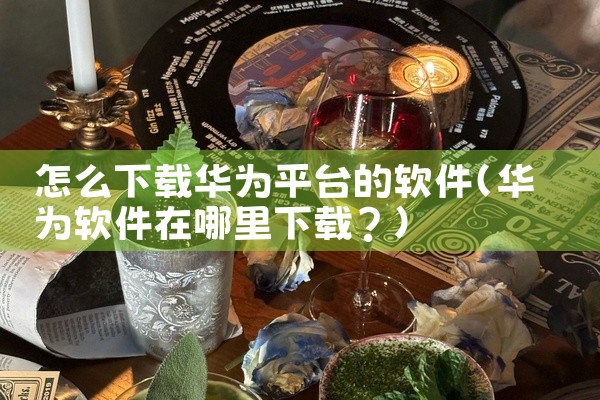 怎么下载华为平台的软件
