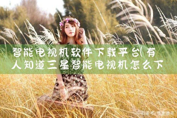 智能电视机软件下载平台