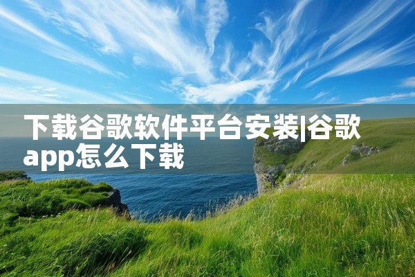下载谷歌软件平台安装