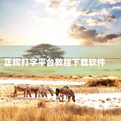 下载安装包 用浏览器打开百度，在搜索框中输入“金山打字通”。用鼠标拖动右面的滚动条，在第二个搜索...,