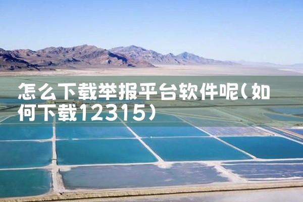 怎么下载举报平台软件呢