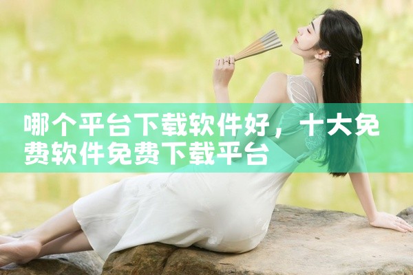 哪个平台下载软件好