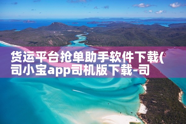 货运平台抢单助手软件下载