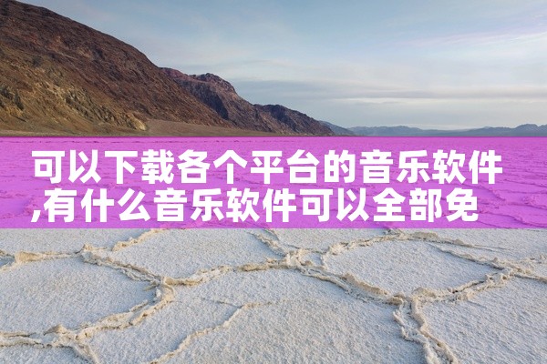 可以下载各个平台的音乐软件