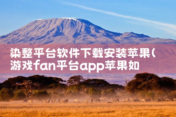 染整平台软件下载安装苹果