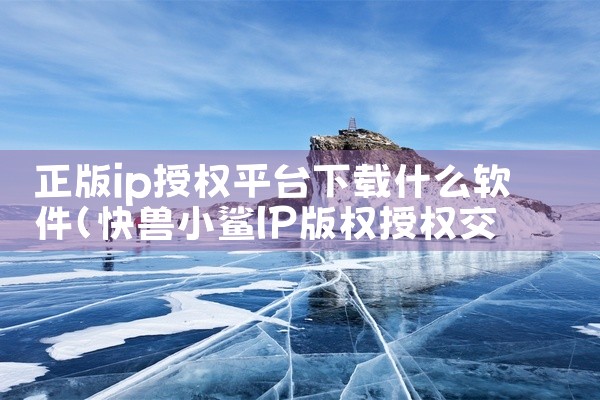 正版ip授权平台下载什么软件