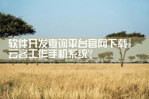 软件开发查询平台官网下载
