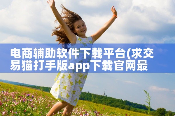电商辅助软件下载平台
