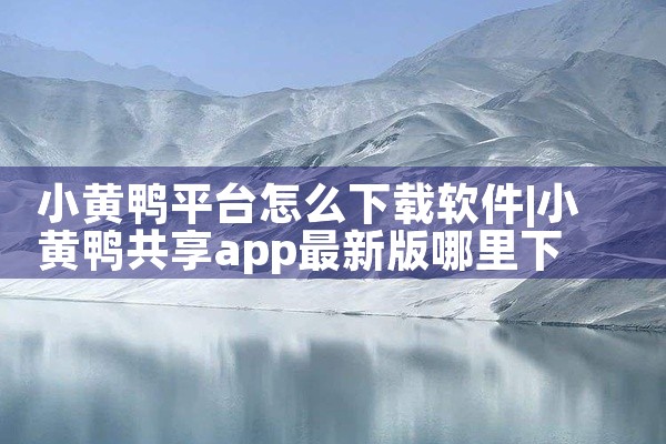 推荐免费的平台软件下载